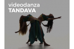 Videodanza: TANDAVA