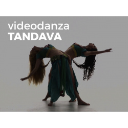 Videodanza: TANDAVA